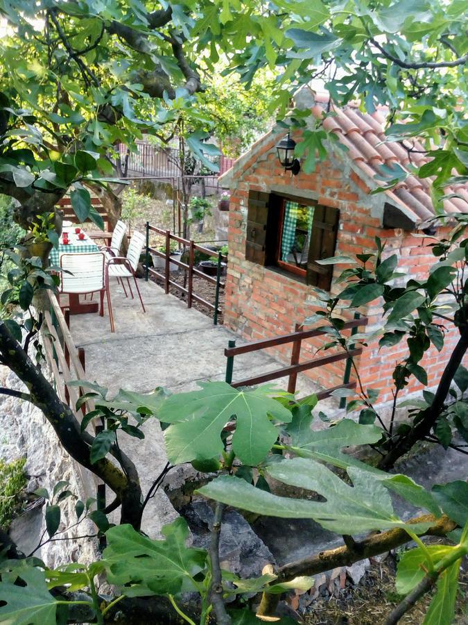 Apartment Lidija Херцег-Нови Экстерьер фото